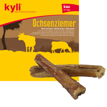 Kyli/4027_Kyli_Ochsenzeimer-15cm_Zwärgehüsli-Shop.png