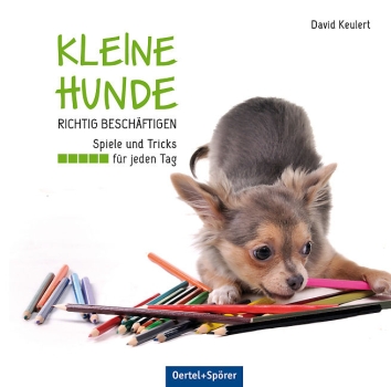 hunde_beschäftigen